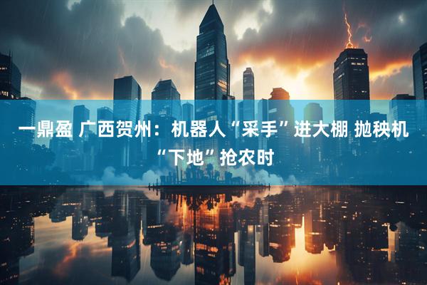 一鼎盈 广西贺州：机器人“采手”进大棚 抛秧机“下地”抢农时
