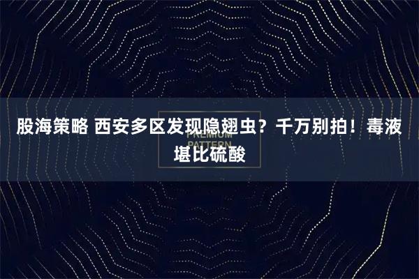 股海策略 西安多区发现隐翅虫？千万别拍！毒液堪比硫酸